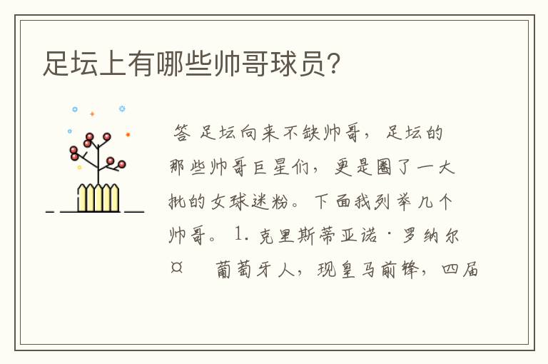 足坛上有哪些帅哥球员?