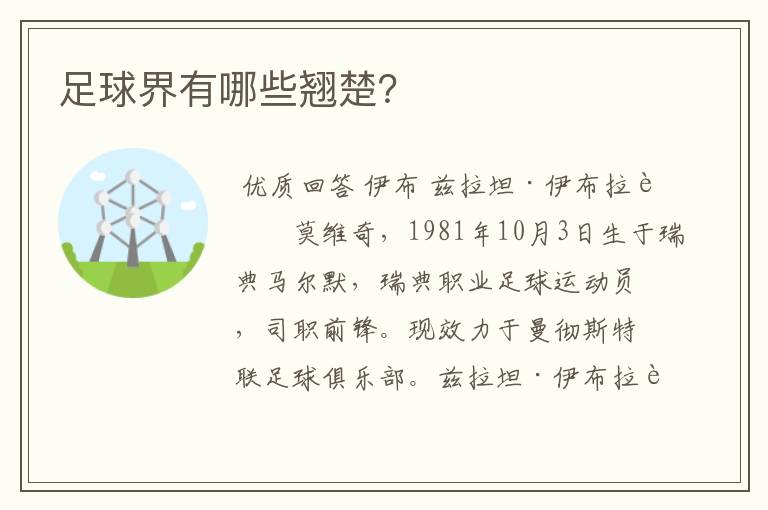 足球界有哪些翘楚?