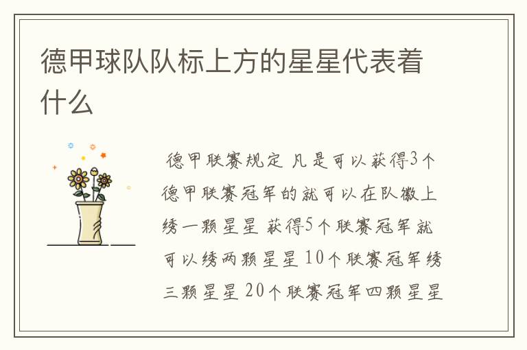德甲球队队标上方的星星代表着什么