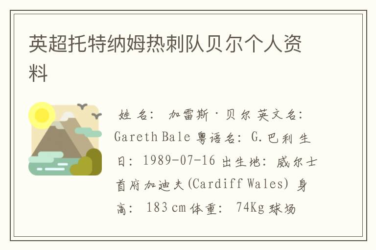 英超托特纳姆热刺队贝尔个人资料