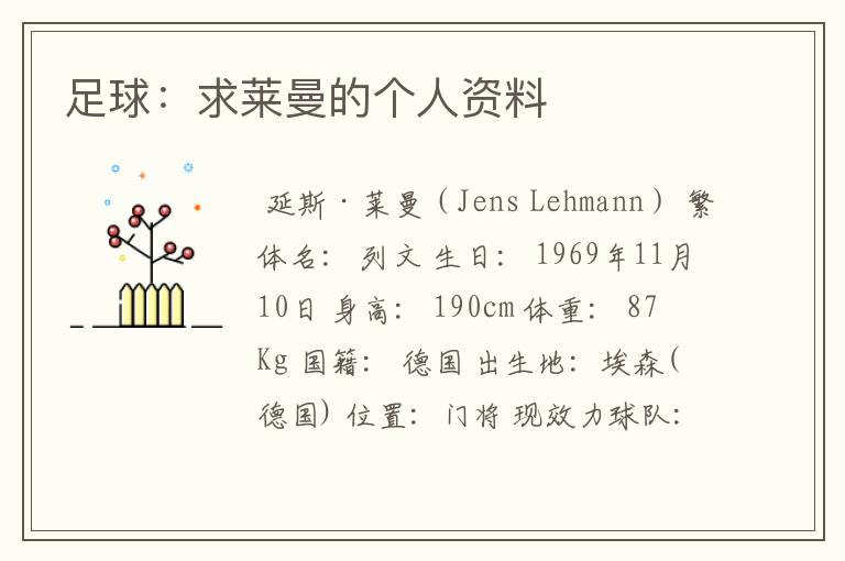 足球:求莱曼的个人资料