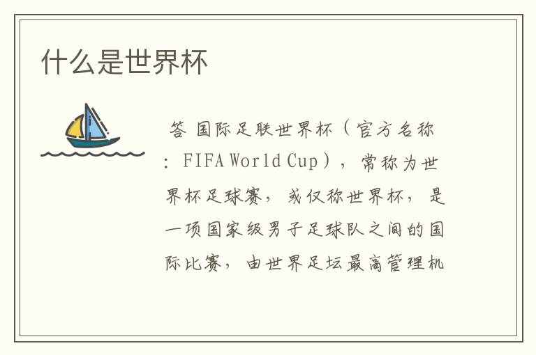 什么是世界杯