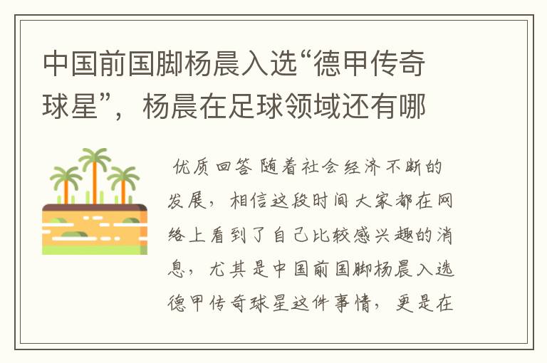 中国前国脚杨晨入选“德甲传奇球星”,杨晨在足球领域还有哪些成就?