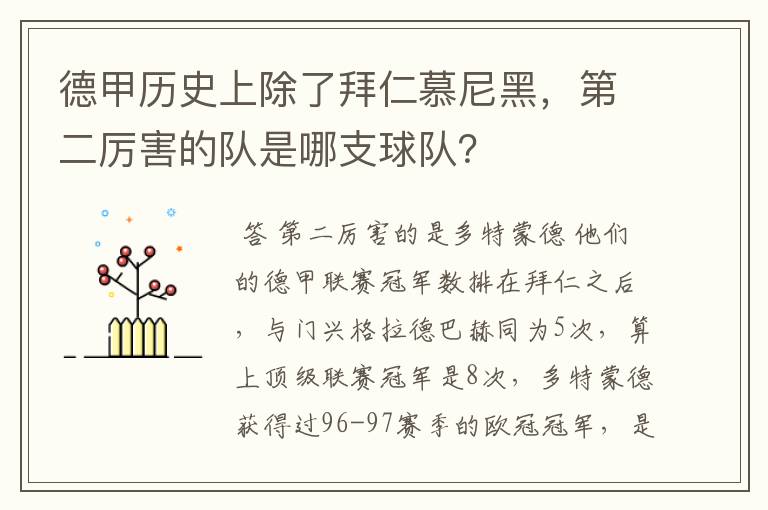 德甲历史上除了拜仁慕尼黑,第二厉害的队是哪支球队?