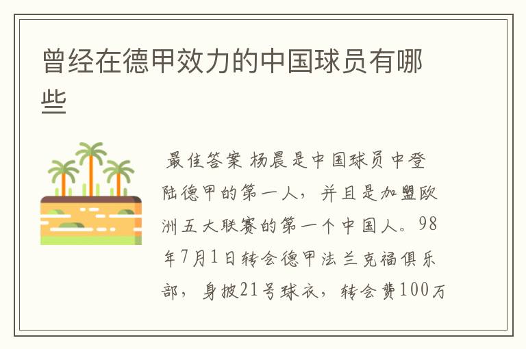 曾经在德甲效力的中国球员有哪些