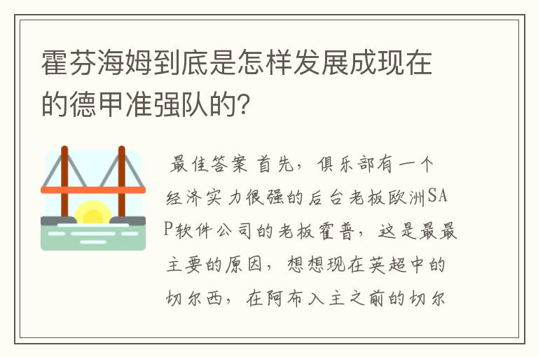 霍芬海姆到底是怎样发展成现在的德甲准强队的?