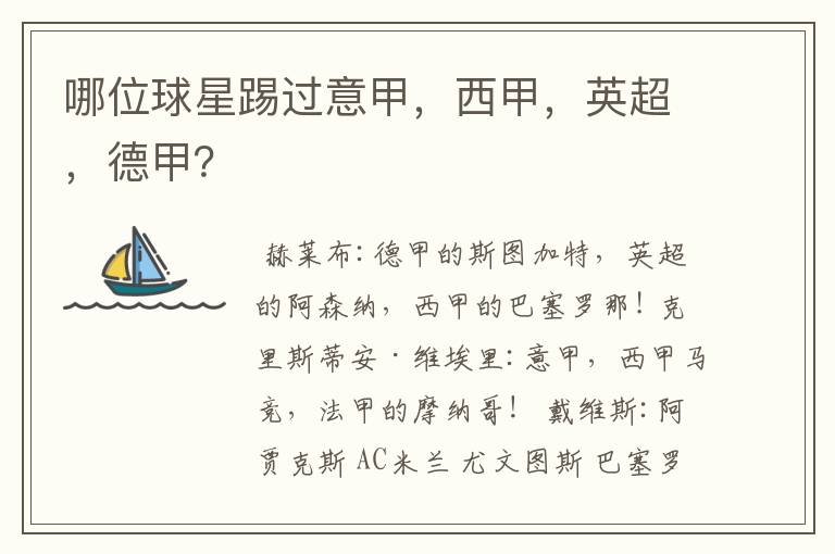 哪位球星踢过意甲,西甲,英超,德甲?