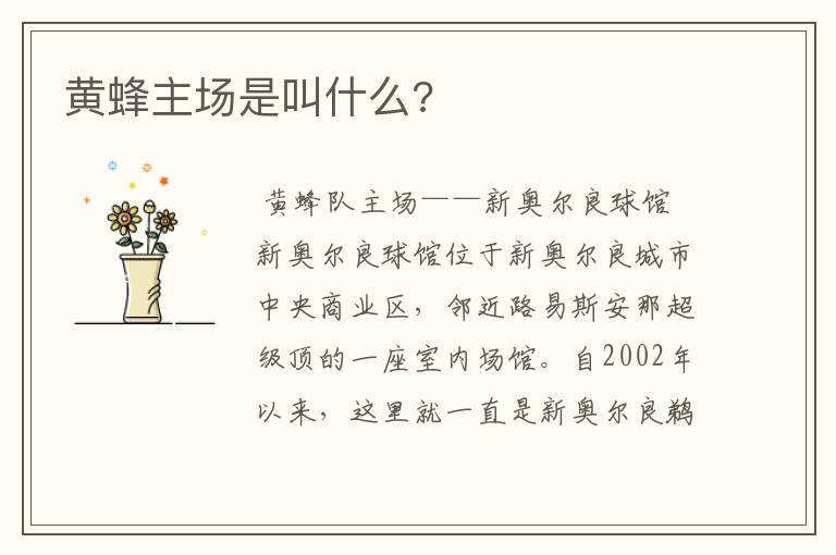 黄蜂主场是叫什么?