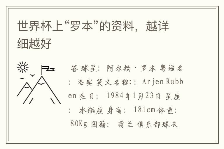 世界杯上“罗本”的资料,越详细越好