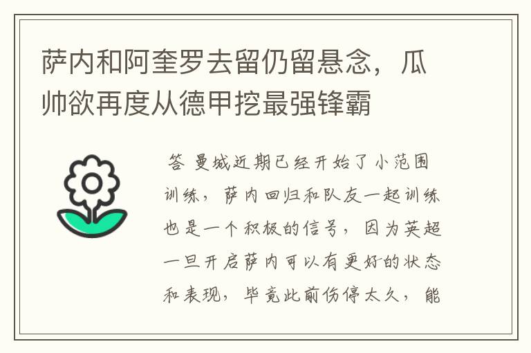 萨内和阿奎罗去留仍留悬念,瓜帅欲再度从德甲挖最强锋霸