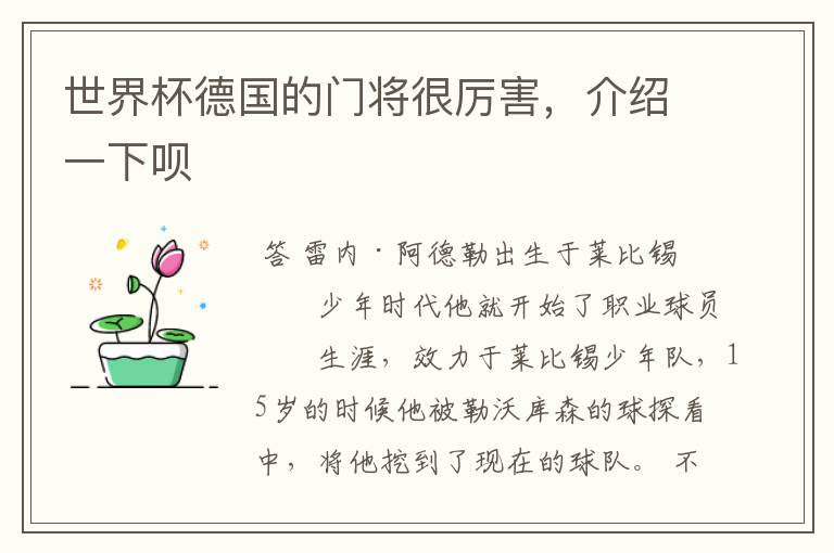 世界杯德国的门将很厉害,介绍一下呗