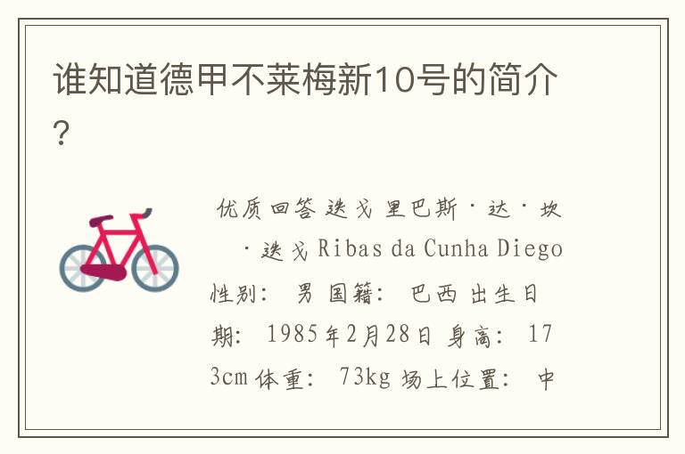 谁知道德甲不莱梅新10号的简介?