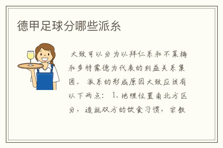 德甲足球分哪些派糸