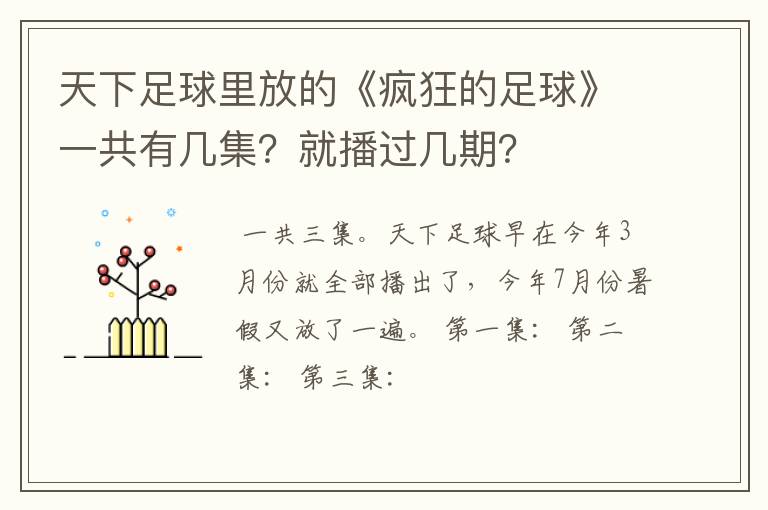 天下足球里放的《疯狂的足球》一共有几集?就播过几期?