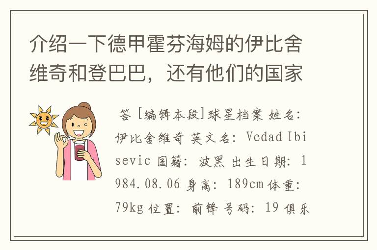 介绍一下德甲霍芬海姆的伊比舍维奇和登巴巴,还有他们的国家队履历