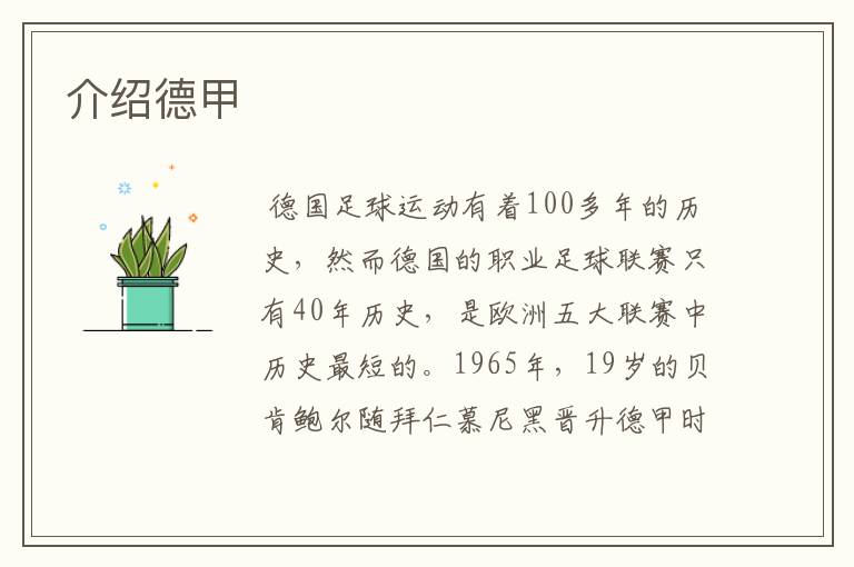介绍德甲