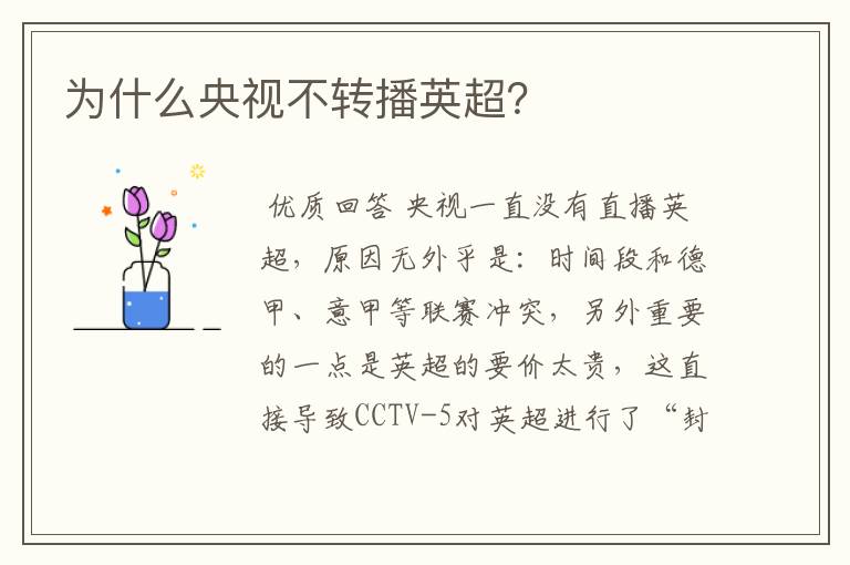 为什么央视不转播英超?