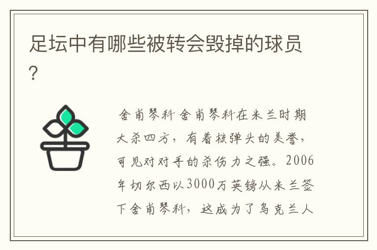 足坛中有哪些被转会毁掉的球员?