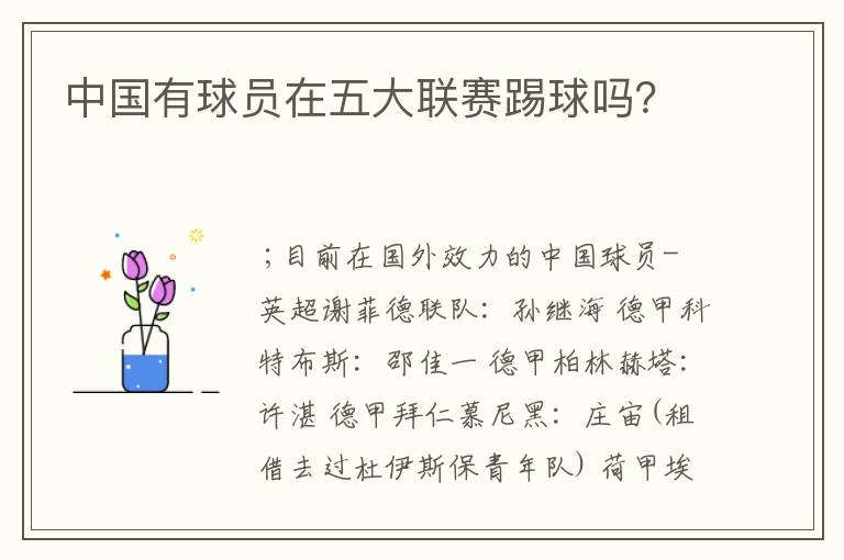 中国有球员在五大联赛踢球吗?