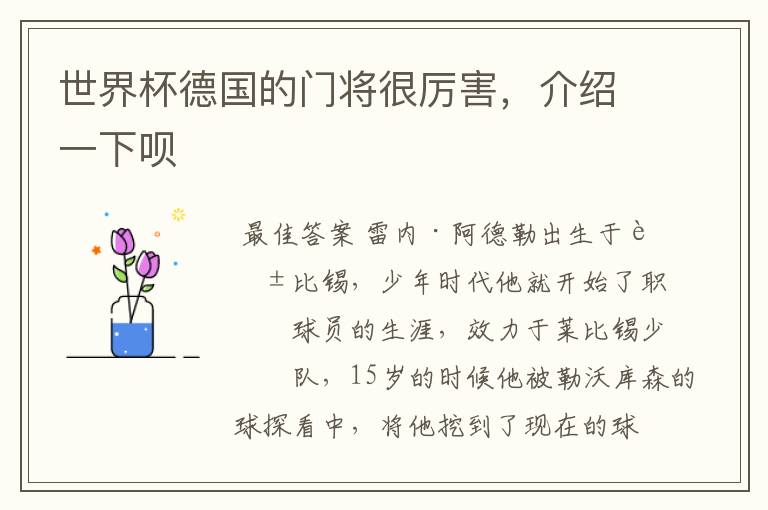 世界杯德国的门将很厉害,介绍一下呗