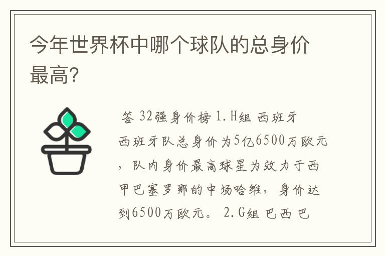 今年世界杯中哪个球队的总身价最高?