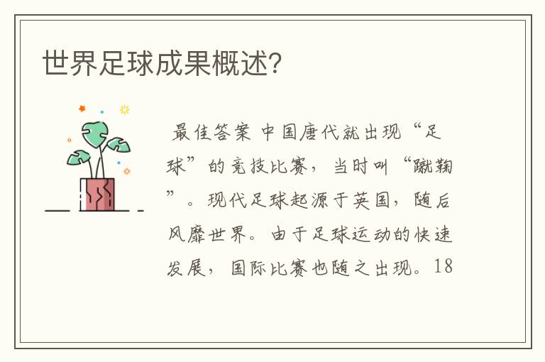 世界足球成果概述?