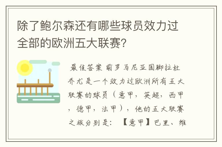除了鲍尔森还有哪些球员效力过全部的欧洲五大联赛?