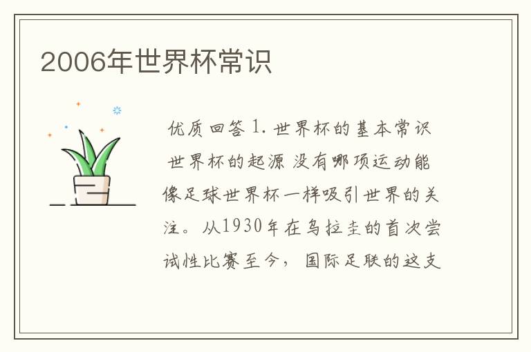 2006年世界杯常识
