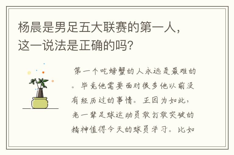 杨晨是男足五大联赛的第一人,这一说法是正确的吗?