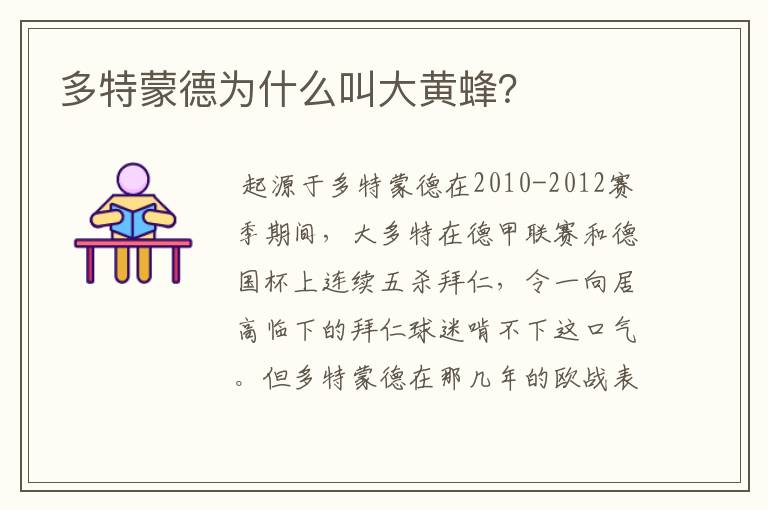 多特蒙德为什么叫大黄蜂?