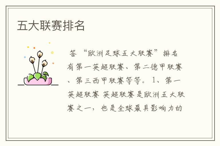 五大联赛排名