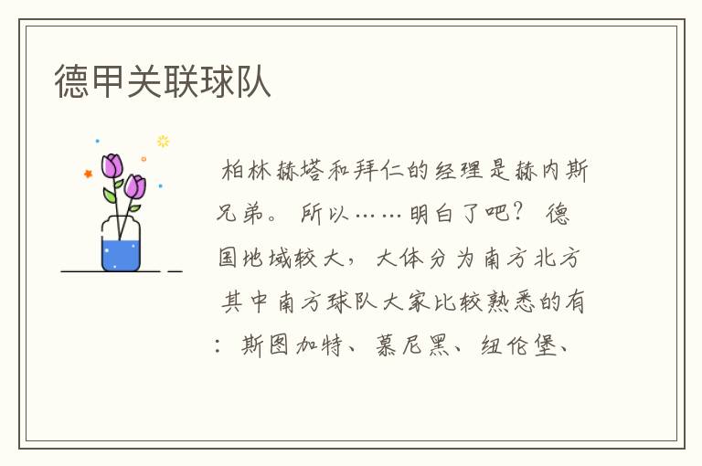 德甲关联球队