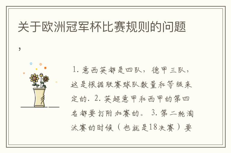 关于欧洲冠军杯比赛规则的问题,