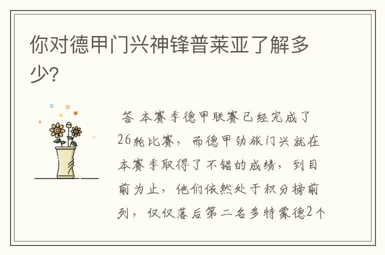 你对德甲门兴神锋普莱亚了解多少?