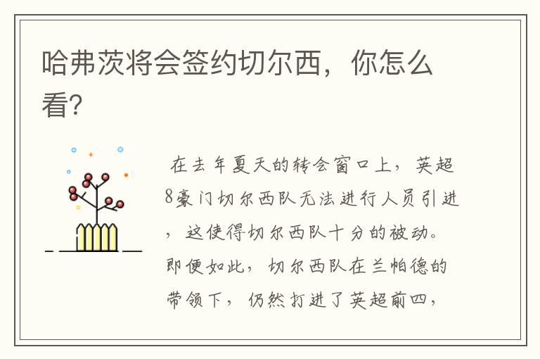 哈弗茨将会签约切尔西,你怎么看?