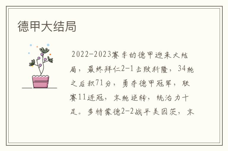 德甲大结局