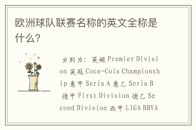 欧洲球队联赛名称的英文全称是什么?