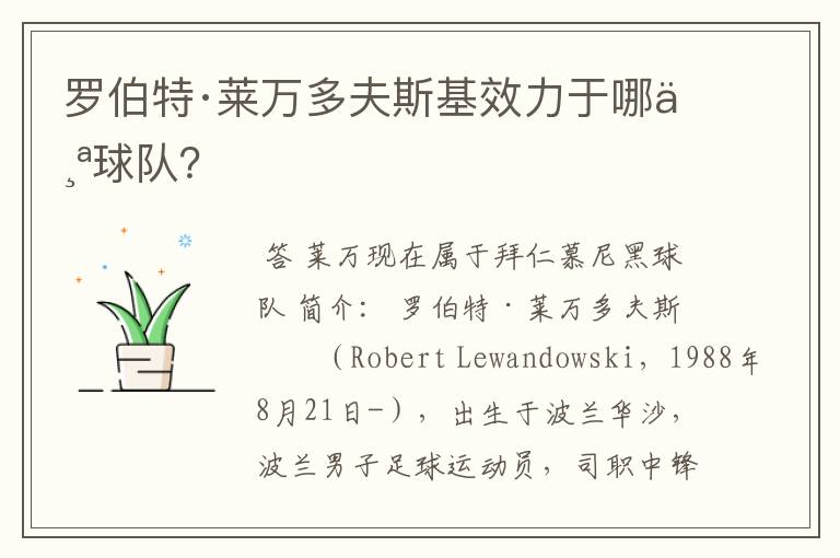 罗伯特·莱万多夫斯基效力于哪个球队?