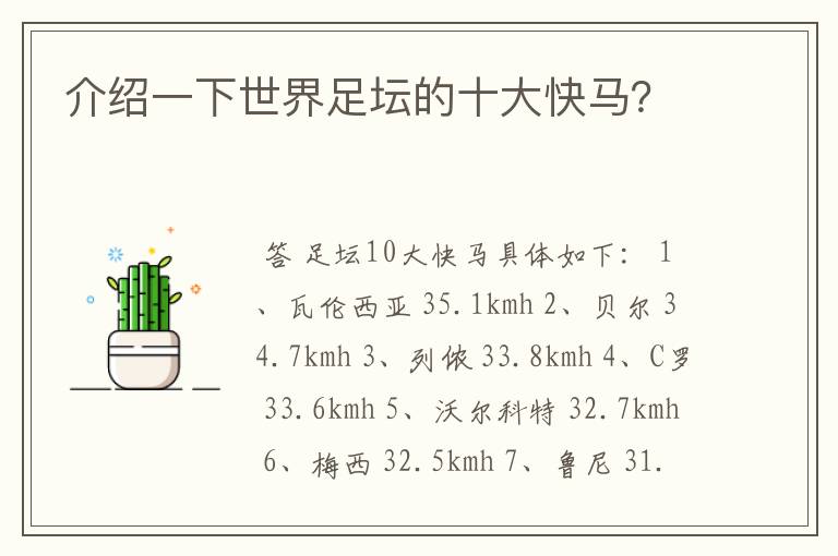 介绍一下世界足坛的十大快马?