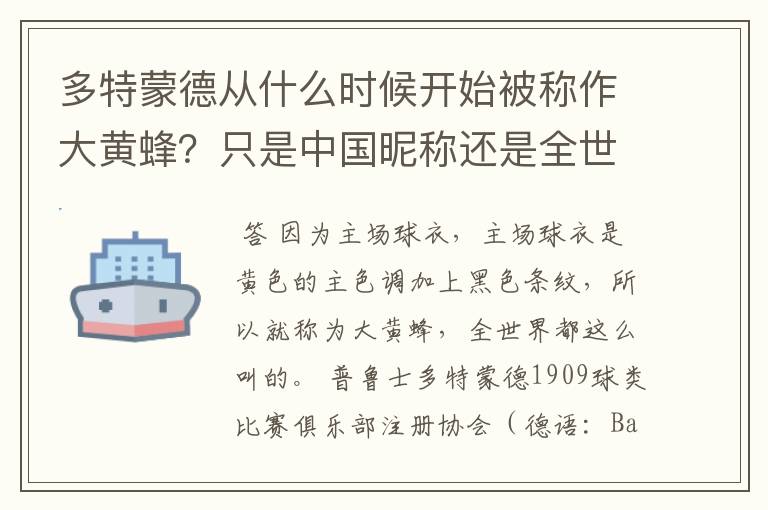 多特蒙德从什么时候开始被称作大黄蜂?只是中国昵称还是全世界范围都这么称呼