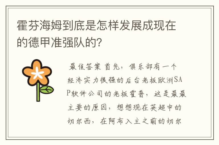 霍芬海姆到底是怎样发展成现在的德甲准强队的?