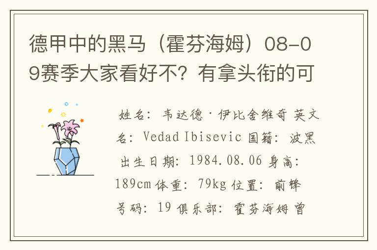 德甲中的黑马(霍芬海姆)08-09赛季大家看好不?有拿头衔的可能吗?