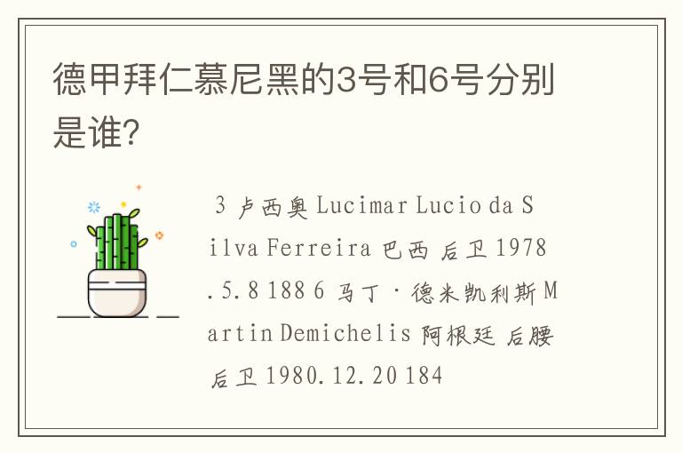 德甲拜仁慕尼黑的3号和6号分别是谁？
