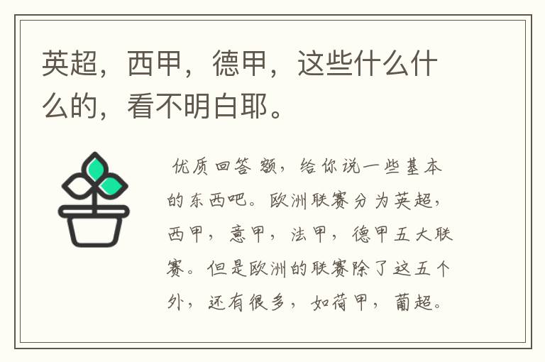 英超,西甲,德甲,这些什么什么的,看不明白耶。