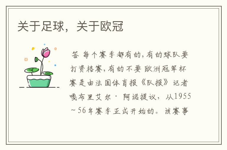 关于足球,关于欧冠