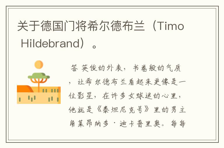 关于德国门将希尔德布兰(Timo Hildebrand)。
