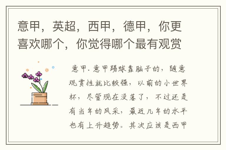 意甲,英超,西甲,德甲,你更喜欢哪个,你觉得哪个最有观赏性