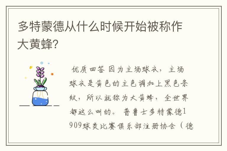 多特蒙德从什么时候开始被称作大黄蜂?