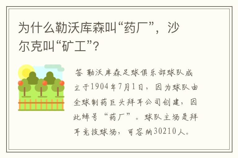为什么勒沃库森叫“药厂”,沙尔克叫“矿工”?