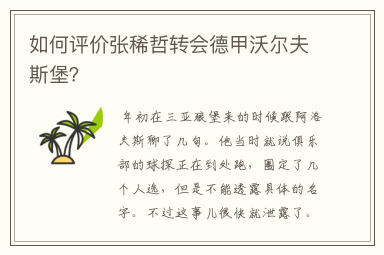 如何评价张稀哲转会德甲沃尔夫斯堡?